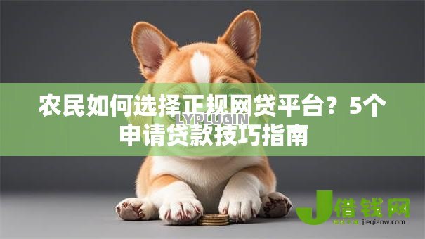 农民如何选择正规网贷平台？5个申请贷款技巧指南