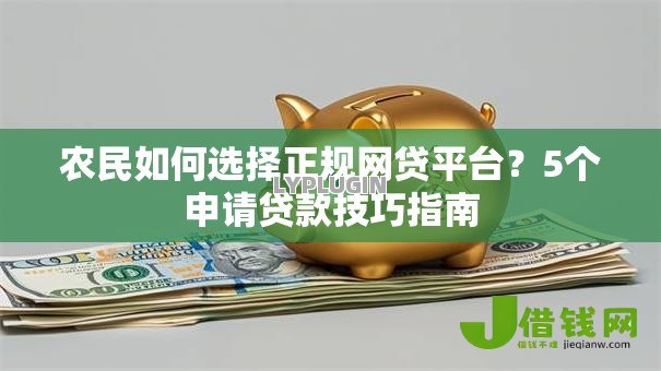 农民如何选择正规网贷平台？5个申请贷款技巧指南
