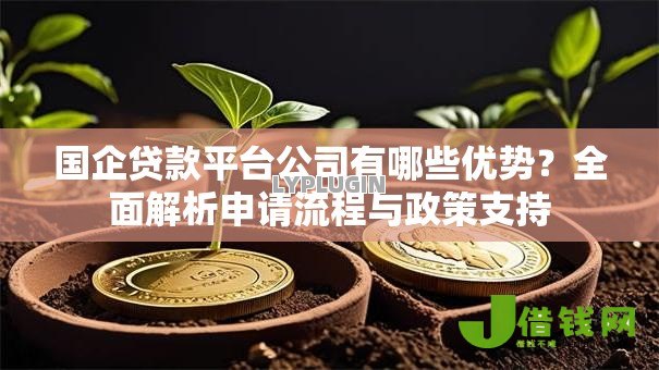 国企贷款平台公司有哪些优势？全面解析申请流程与政策支持