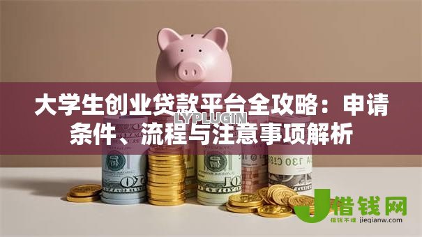 大学生创业贷款平台全攻略:申请条件、流程与注意事项解析 大学生创业贷款平台全攻略:申请条件、流程与注意事项解析