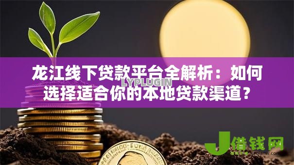 龙江线下贷款平台全解析：如何选择适合你的本地贷款渠道？