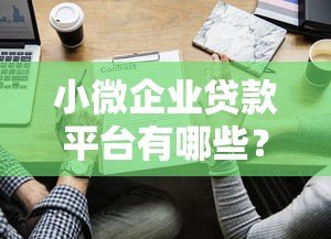 小微企业贷款平台有哪些?10个正规渠道推荐 小微企业贷款平台有哪些?10个正规渠道推荐