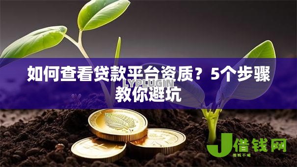如何查看贷款平台资质?5个步骤教你避坑 如何查看贷款平台资质?5个步骤教你避坑