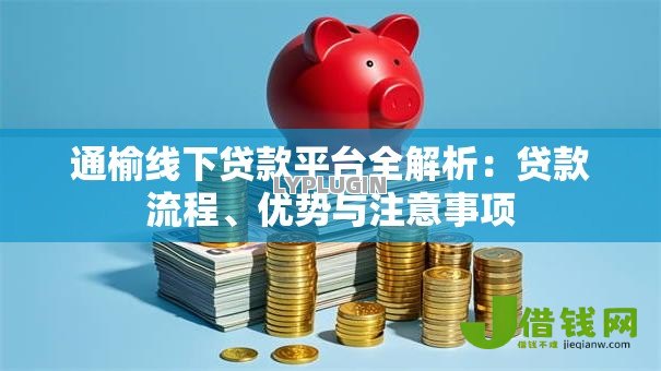 通榆线下贷款平台全解析：贷款流程、优势与注意事项
