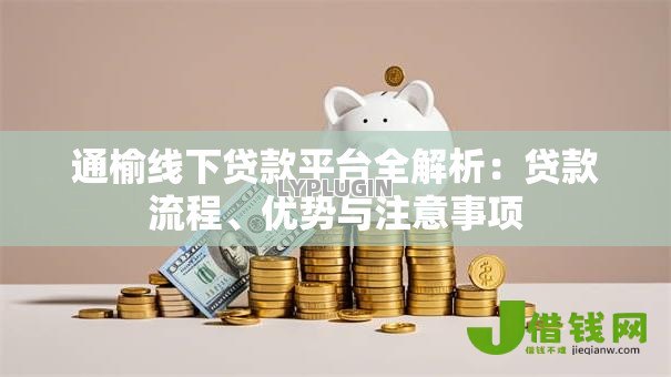 通榆线下贷款平台全解析：贷款流程、优势与注意事项