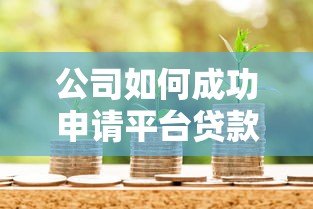 公司如何成功申请平台贷款:全流程解析与注意事项 公司如何成功申请平台贷款:全流程解析与注意事项