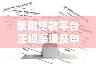蒙阴贷款平台正规渠道及申请攻略
