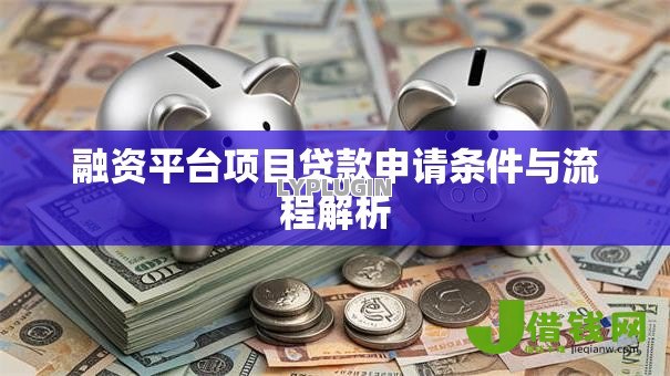 融资平台项目贷款申请条件与流程解析 融资平台项目贷款申请条件与流程解析