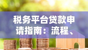 税务平台贷款申请指南：流程、条件、注意事项