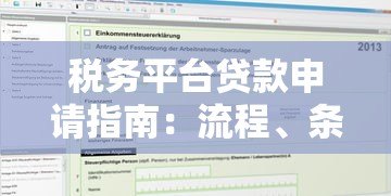 税务平台贷款申请指南：流程、条件、注意事项