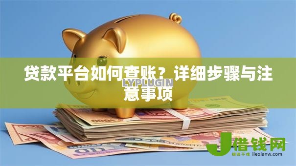 贷款平台如何查账?详细步骤与注意事项 贷款平台如何查账?详细步骤与注意事项