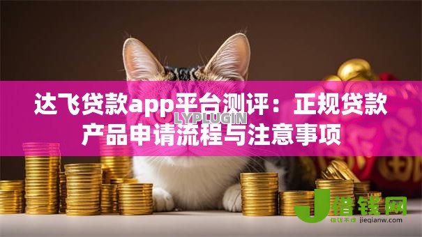 达飞贷款app平台测评：正规贷款产品申请流程与注意事项