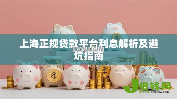 上海正规贷款平台利息解析及避坑指南