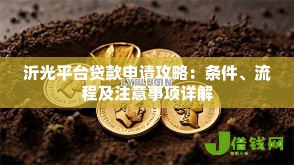 沂光平台贷款申请攻略:条件、流程及注意事项详解 沂光平台贷款申请攻略:条件、流程及注意事项详解