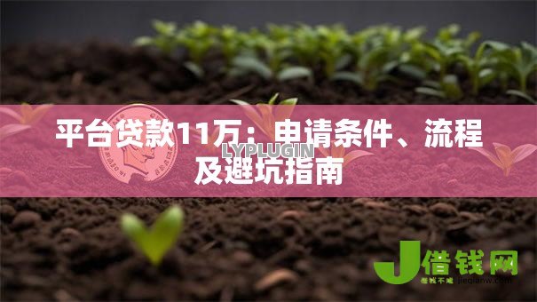 平台贷款11万：申请条件、流程及避坑指南