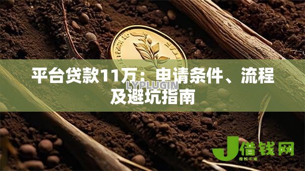 平台贷款11万：申请条件、流程及避坑指南