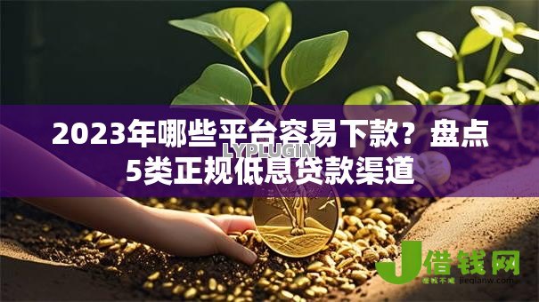 2023年哪些平台容易下款？盘点5类正规低息贷款渠道