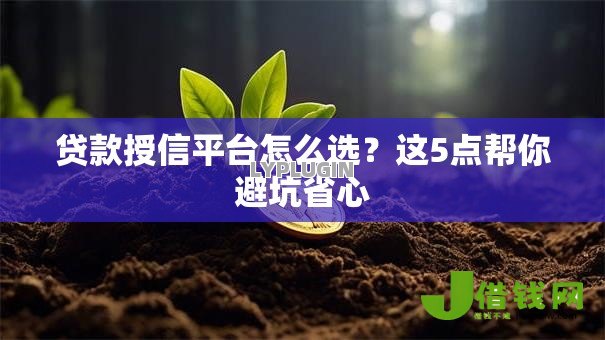 贷款授信平台怎么选?这5点帮你避坑省心 贷款授信平台怎么选?这5点帮你避坑省心