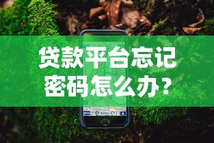 贷款平台忘记密码怎么办？快速找回密码的详细指南
