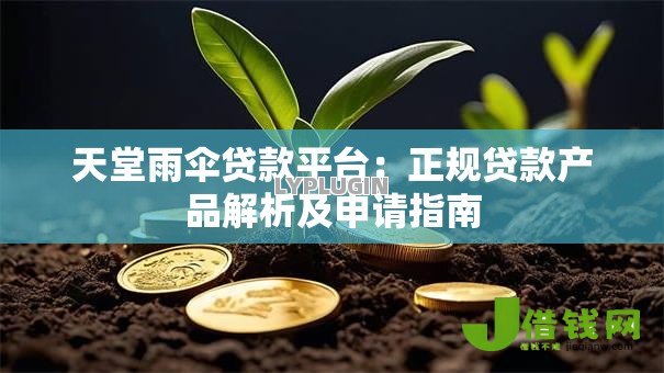 天堂雨伞贷款平台:正规贷款产品解析及申请指南 天堂雨伞贷款平台:正规贷款产品解析及申请指南