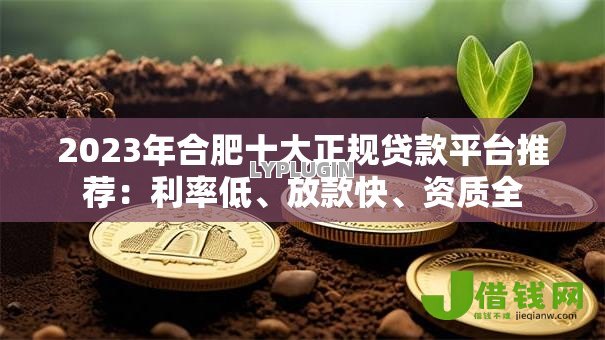 2023年合肥十大正规贷款平台推荐:利率低、放款快、资质全 2023年合肥十大正规贷款平台推荐:利率低、放款快、资质全