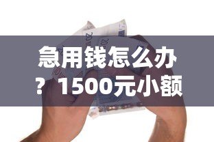 急用钱怎么办?1500元小额贷款平台推荐及申请攻略 急用钱怎么办?1500元小额贷款平台推荐及申请攻略