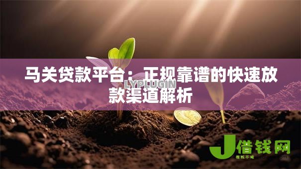马关贷款平台:正规靠谱的快速放款渠道解析 马关贷款平台:正规靠谱的快速放款渠道解析