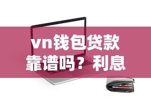 vn钱包贷款靠谱吗？利息低至多少？2023最新申请攻略