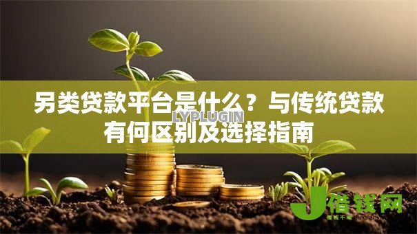另类贷款平台是什么?与传统贷款有何区别及选择指南 另类贷款平台是什么?与传统贷款有何区别及选择指南