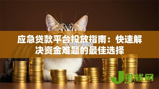 应急贷款平台投放指南:快速解决资金难题的最佳选择 应急贷款平台投放指南:快速解决资金难题的最佳选择