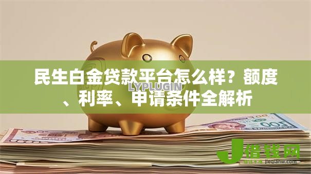 民生白金贷款平台怎么样？额度、利率、申请条件全解析