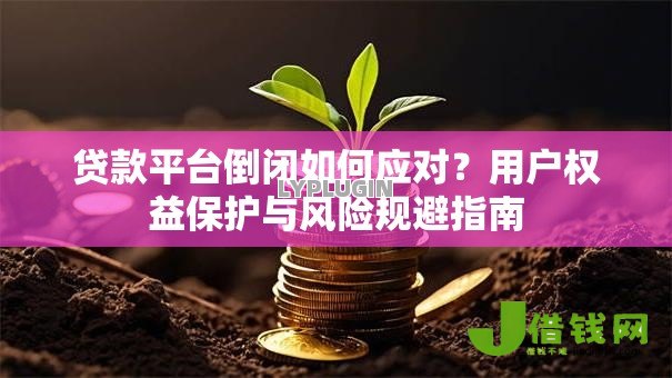 贷款平台倒闭如何应对？用户权益保护与风险规避指南