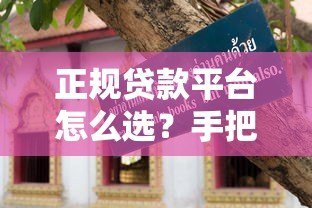 正规贷款平台怎么选?手把手教你避坑指南 正规贷款平台怎么选?手把手教你避坑指南