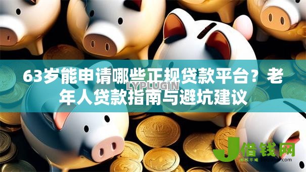 63岁能申请哪些正规贷款平台？老年人贷款指南与避坑建议