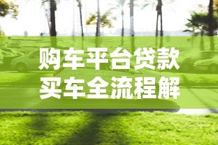 购车平台贷款买车全流程解析:新手必看的五大注意事项 购车平台贷款买车全流程解析:新手必看的五大注意事项