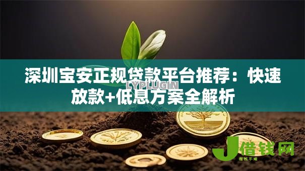 深圳宝安正规贷款平台推荐:快速放款+低息方案全解析 深圳宝安正规贷款平台推荐:快速放款+低息方案全解析