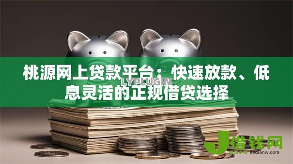 桃源网上贷款平台：快速放款、低息灵活的正规借贷选择