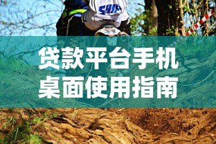 贷款平台手机桌面使用指南:快速申请与安全操作技巧 贷款平台手机桌面使用指南:快速申请与安全操作技巧