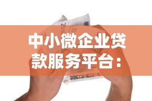 中小微企业贷款服务平台：一站式解决融资难题