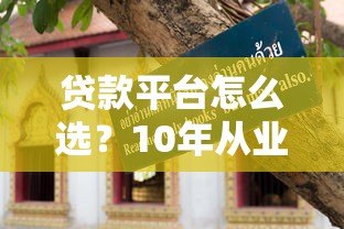 贷款平台怎么选?10年从业者揭秘正规平台挑选技巧及避坑指南 贷款平台怎么选?10年从业者揭秘正规平台挑选技巧及避坑指南