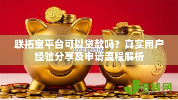 联拓宝平台可以贷款吗?真实用户经验分享及申请流程解析 联拓宝平台可以贷款吗?真实用户经验分享及申请流程解析