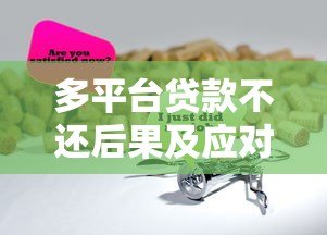 多平台贷款不还后果及应对指南 多平台贷款不还后果及应对指南