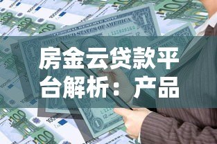 房金云贷款平台解析：产品类型、申请流程及注意事项