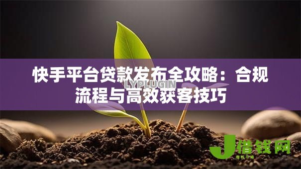 快手平台贷款发布全攻略：合规流程与高效获客技巧