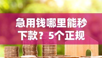 急用钱哪里能秒下款？5个正规快速借款平台实测分析