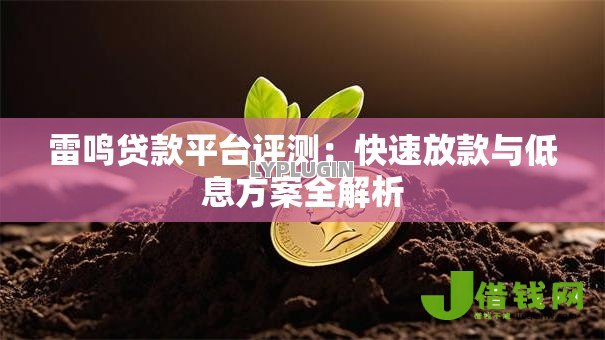 雷鸣贷款平台评测:快速放款与低息方案全解析 雷鸣贷款平台评测:快速放款与低息方案全解析