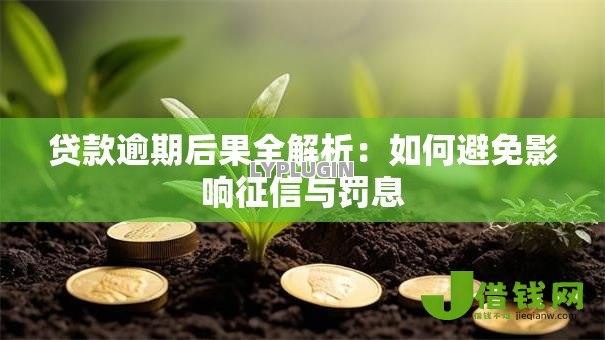 贷款逾期后果全解析：如何避免影响征信与罚息