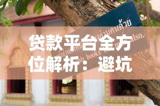 贷款平台全方位解析：避坑指南与实用技巧
