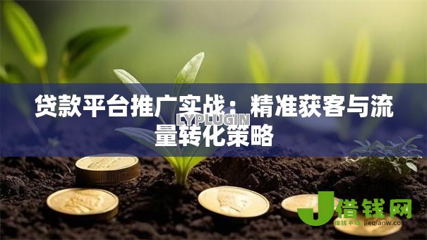 贷款平台推广实战:精准获客与流量转化策略 贷款平台推广实战:精准获客与流量转化策略