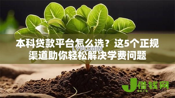 本科贷款平台怎么选?这5个正规渠道助你轻松解决学费问题 本科贷款平台怎么选?这5个正规渠道助你轻松解决学费问题